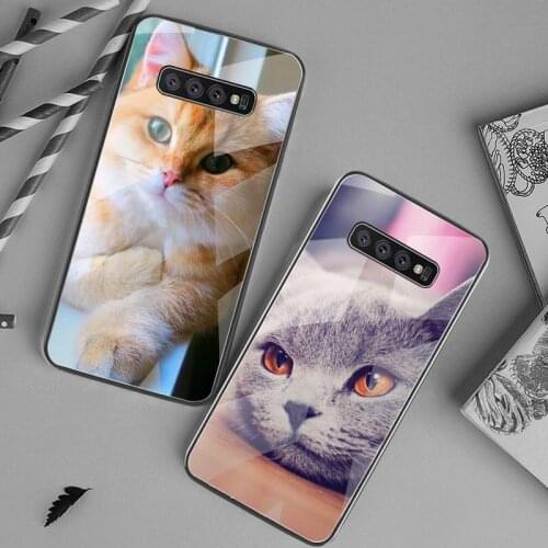 British Shorthair Cat Phone Case Tempered Glass For Samsung S20 Plus S7 S8 S9 S10 Plus Note 8 9 10 Plus