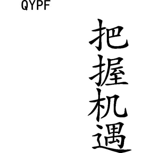 QYPF 5CM*15.4CM Seize The Day Chinese Characters Personality Vinyl Car Sticker Decal Black Silver C15-2143