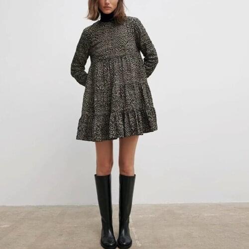 Ladies Leopard Print Dress Long Sleeve Loose Street Dress Fashion Straight Dress