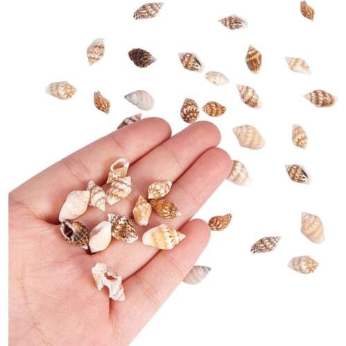 Over 1300 Pcs Mini Natural Beige Shell Conch Beads Seaside Candle Jewelry Making Cowry Cowrie Tribal Jewelery Craft Accessories