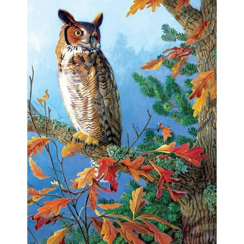 5D DIY Full Square/Round Diamond Painting Animal Owl Full Circular Diamond Embroidery Cross Stitch Wall Sticker Home Decor