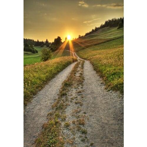 Sunset scenery photo background vinyl fotografia wild picture children photography backdrop for photo studio accessories lv-1815