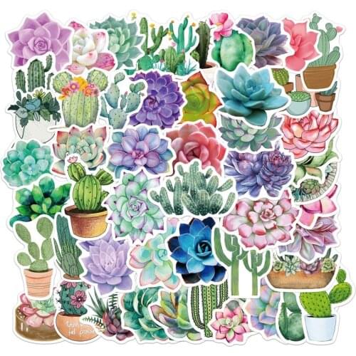 10/50pcs Multicolor Succulent Plants Graffiti Sticker Cactus for Luggage Laptop Car Skateboard Guitar Fridge Toy PVC Stickers