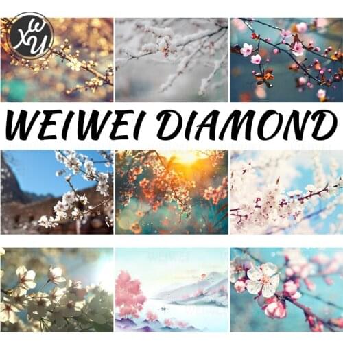 Diamond Painting Kits for Adult 5D Diamond Plum Flower Diamond Mosaic Diamond Painting Accessories Full Diamond Embroidery Decor