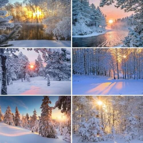 5D DIY Diamond Painting Winter Landscape Rhinestone Art Picture Full Diamond Embroidery Cross Stitch Kit Mosaic Home Decoration