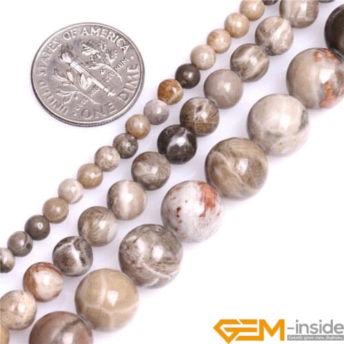 4mm 6mm 10mm Round Natural Gray Fossil Coral Jaspers Beads DIY Loose Beads For Jewelry Making Strand 15 Inch Wholesale