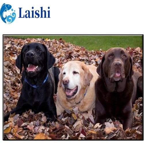 3D Diy Animal art, labrador, dog Diamond Painting Art full drill Diamond Picture cross stitch Mosaic Gift Home Wall Decoration