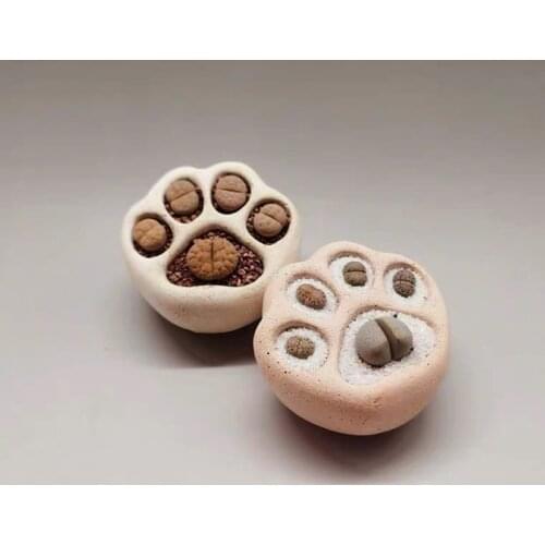 Cat Paw Succulent Mold Concrete Mould Flowerpot Silicone Mold Handmade Creative Plaster Resin Crafts