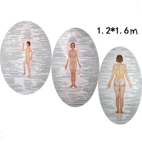 3pcs Human women acupuncture point large wall chart in English-Chinese female map HD color-printed laminated photo paper