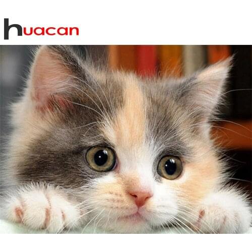 Huacan 5D DIY Diamond Painting New Square Cat Diamond Mosaic Embroidery Animals Picture Of Rhinestones Decoration For Home
