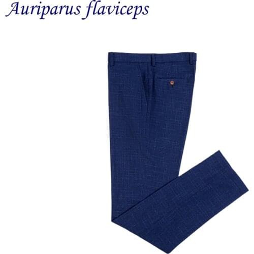 Auriparus flaviceps Men's Casual Blazers