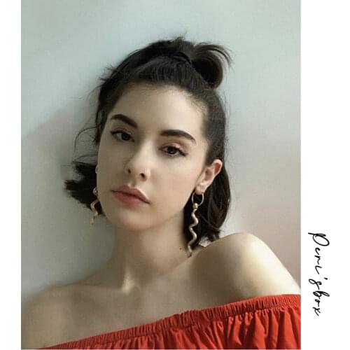 PerisBox Long Snake Small Hoop Earrings Circle Geometric Earrings for Women Vintage Statement Earrings Hoop 2020 Trendy Jewelry