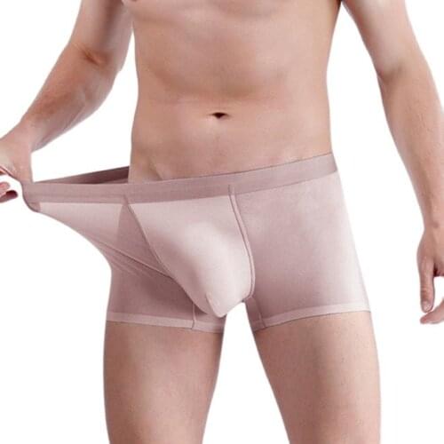 Ice Silk Men Underwear New Style Mens Seamless Underpants Breathable Mesh Boxers Thin Section Boxer Shorts Cozy Mens Panties