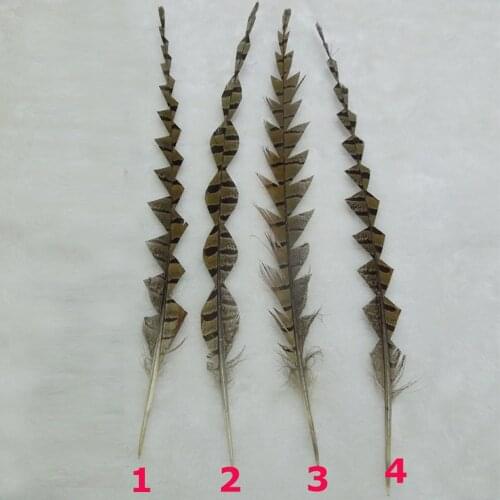 10Pcs/Lot! 28-35cm Natural Trimmed Ringneck PHEASANT Tail FEATHERS Craft Millinery Fly Fishing Mask Headdress,Plumas Decoration