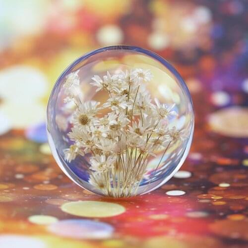 Natural White Daisy Crystal Glass Resin Lens Ball 70mm Real Plants Flower Specimen Christmas Love Gift With Box Home Decor Globe