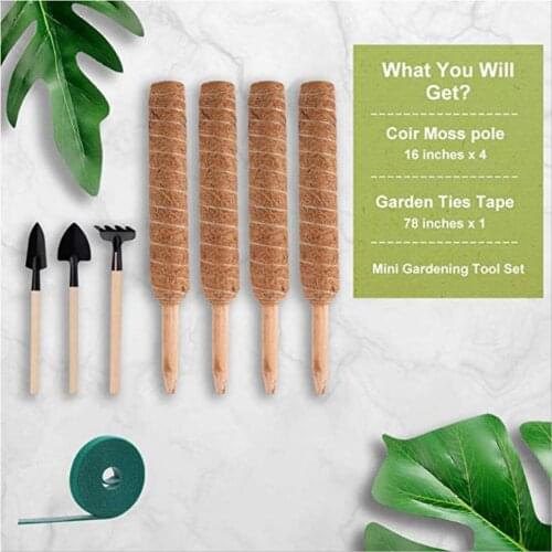 8PC Moss Pole Climbing Plant Support 30-50cm Pole Balcony Support Extended Moss Stick Courtyard Vine Plant Support Pole Set