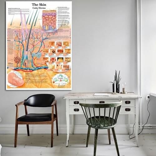 Skin Anatomy Section Anatomical Posters Laminated Canvas Medical Education Picture Print Doctor Home Decor