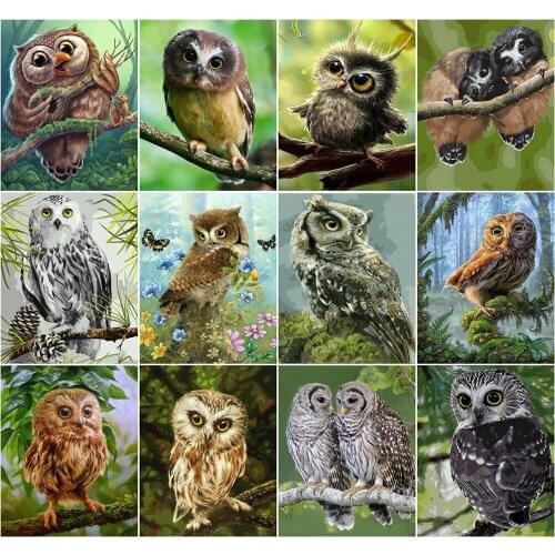 AZQSD Painting By Number Canvas Animal 40x50cm Home Decoration DIY Acrylic Paint Pictures By Numbers Owl HandPainted DIY Gift