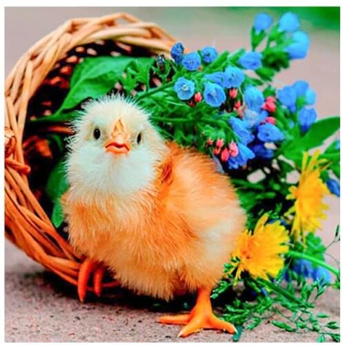 Bird diamond painting full chicken embroidery mosaic sticker diamond dotz rhinestone picture puzzle toy drawing wall decor frog