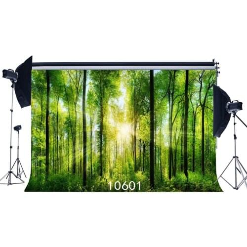 Photography Backdrops Fairy Tale Mysterious Forest Sunshine Scene Seamless Newborn Baby Toddlers Portraits Background