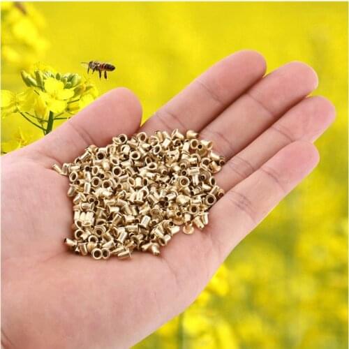 1000Pcs/Bag Brass Beekeeping Eye Wooden Frame Beekeeper Nest Threading Hive Bee Keeper Tool Beehive Accessories Apicultura