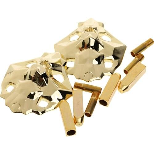 2Pairs Shoe Laces Tips Aglets+1Pair Lion Head Metal Lace Locks Shoe Art Gold