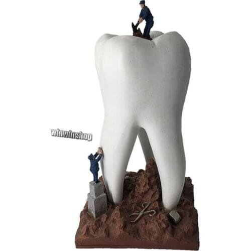 Resin dental Crafts Toys Dentist Gift Dental Artware Teeth Dentistry Clinic Decoration Furnishing Articles Creative Sculpture