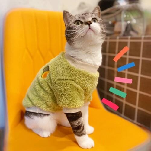 Fruity Coral Fleece Cat Sweater Cat Clothes Avocado Watermelon Grape