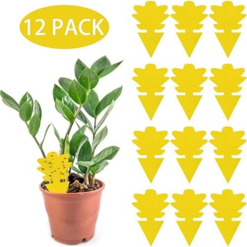 Yellow Butterfly Shaped Insect Pest Control Garden Strong Glue Plant Sticky Traps For Aphids Dual Sided Fruit Fly Fungus Gnats