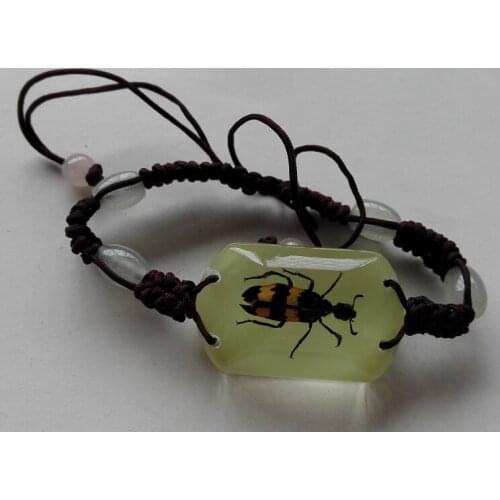 Artificial Bracelet for Real Insect Specimens Birthday Gift for Spider Ladybug Bee Bracelet Free of Freight