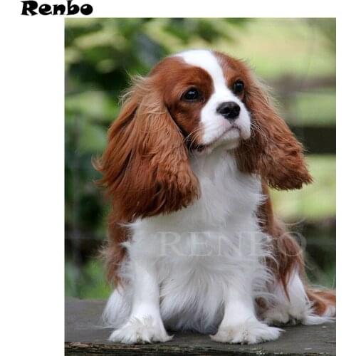5d diy diamond painting full square,cross stitch Cavalier King Charles Spaniel pictures,cross stitch,diamond mosaic home Decor