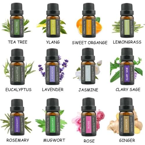 Essential Oil 12 Bottoles For Hand Soap Making Nature Flower Fruit Made Smell Fragrant Secrete Dopamine Independent Gift Box