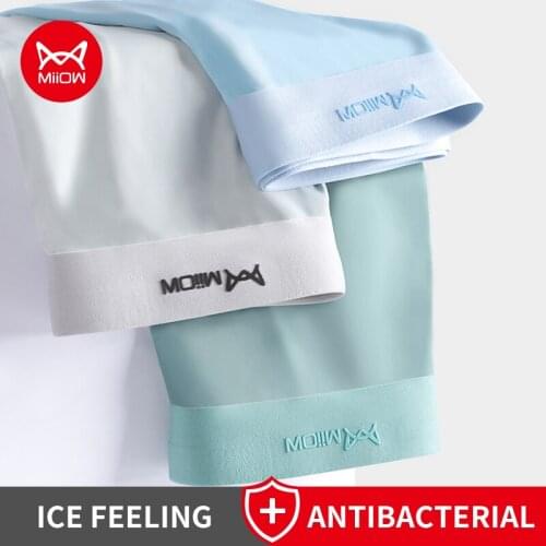 MiiOW 3Pcs New Gay Sexy Men Underwear Man Boxer Underpants Low Waist Nylon Trunks Mens Panties Bxoers Shorts Boxershorts M1221