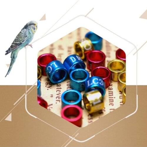2021 New 50 Pcs Dove Bands Bird Foot Ring Species Identify Training Rings Pet Bird Label