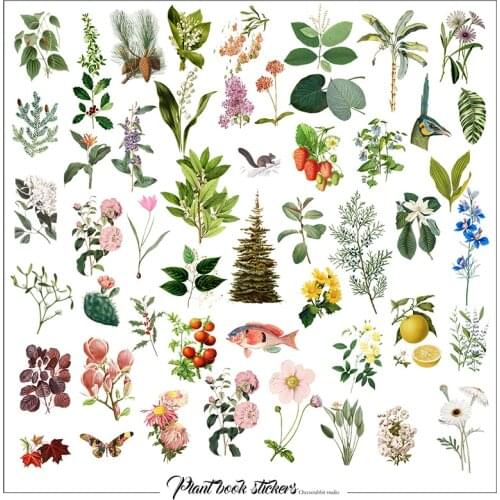 50pcs Flowers Plants Illustration Vellum Paper Stickers Scrapbooking/Card Making/Journaling Project DIY