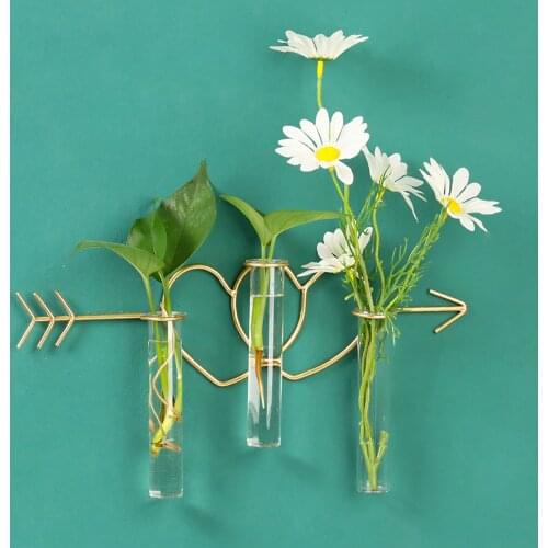 Creative Wall Hanging Flower Vase Hydroponics Wrought Iron Glass Plant Test Tube Vases Hanging Container Home Decor 2021 New