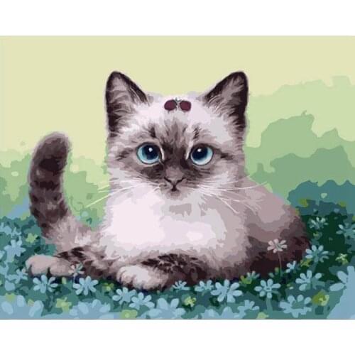 Cute Kitten Paint By Numbers Coloring Hand Painted Home Decor Kits Drawing Canvas DIY Oil Painting Pictures By Numbers
