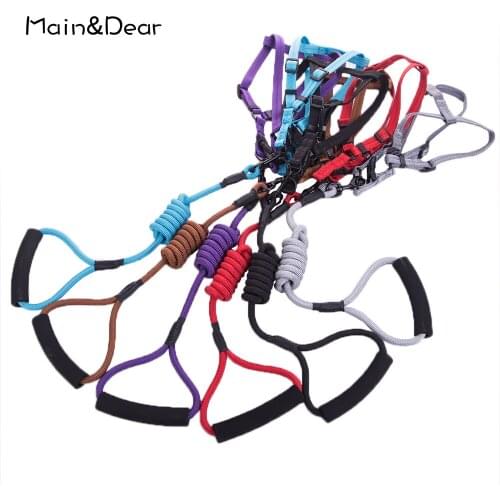 Pet Leash Detachable And Washable Nylon Dog Leash Multi-color Optional Durable For Domestic Pet Dogs