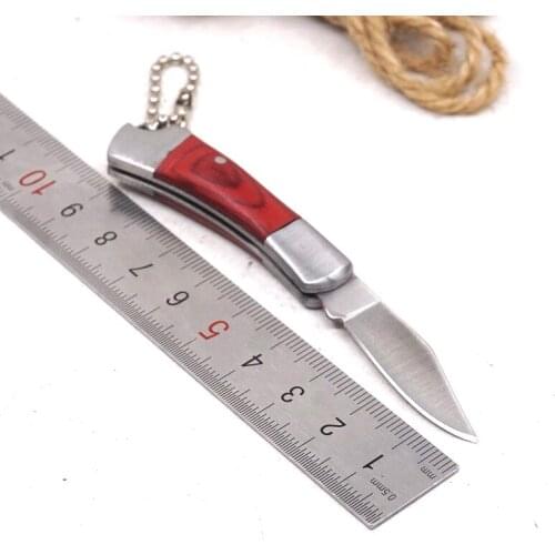 Mini Folding Knife Tactical Survival Knife Stainless steel Blade Hunting Camping Pocket Knives Outdoor EDC Tools key chain