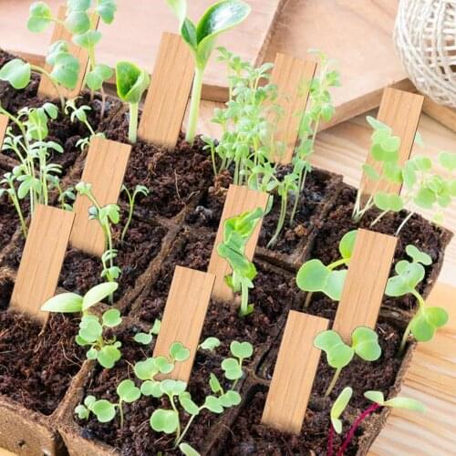 50pcs Bamboo Plant Labels Eco-Friendly Wooden Plant Sign Tags Garden Markers for Seed Potted Herbs Flowers Tools