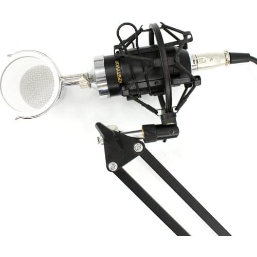 BM-8000 Professional Studio Recording Condenser Microphone With 3.5mm Plug Stand Holder With Stand Holder
