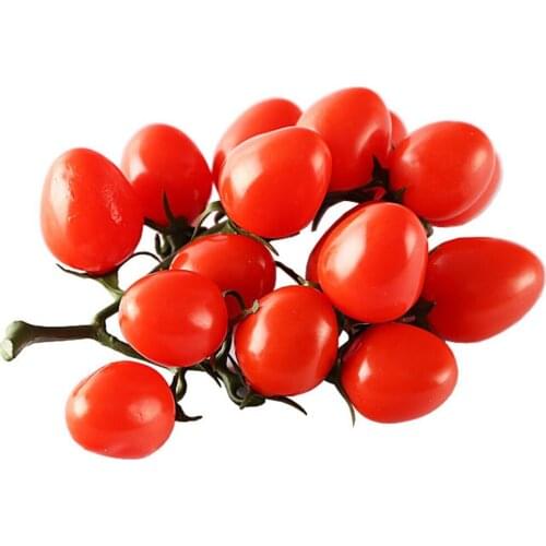 Artificial Tomato Realistic Fruit Shop Display Decorative Resin Wedding Hotel Home Decor Kids Teaching Aids Photography Mold