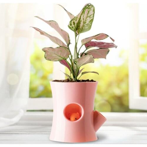 Self Watering Pot Cartoon Self-absorption Flower Plant Pot Furniture Gardening Decoration Succulent Hydroponic Water-free Pot