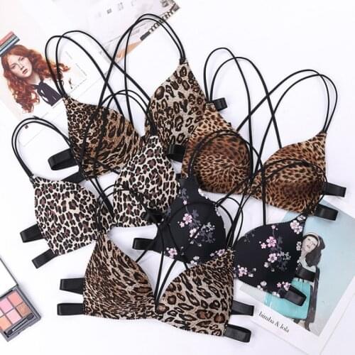 European Style Bra Briefs Set Fashion Leopard Pattern Push Up Brassiere Womens Comfort Underwear Sexy Small Bra Female Lingerie
