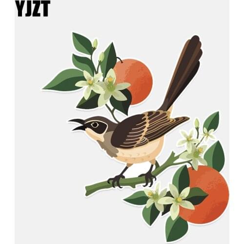 YJZT 13.4*15CM Unique Birds Decor Colored PVC High Quality Car Sticker Personalized 11A0291