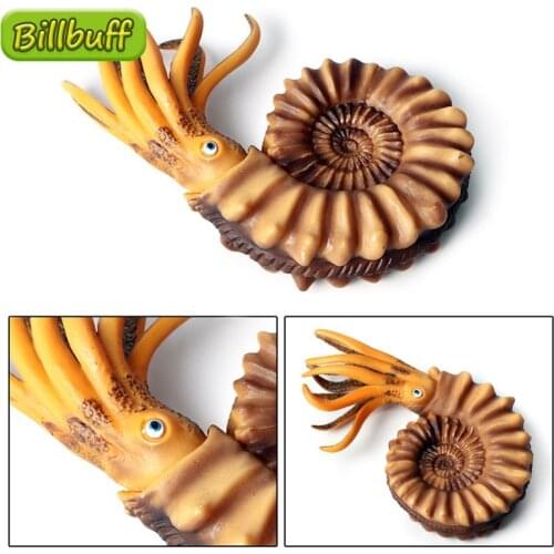 1Pcs Simulation Ocean Animal ABS Nautilus Action Model Figures Collection Cognition Educational Toys for Children Christmas Gift
