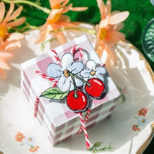 Embroidery stickers Raspberry Party Series Creative cute cartoon hand account decoration DIY material stickers single entry