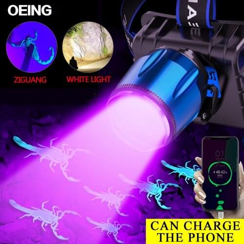2021 New UV LED Headlight USB Rechargeable Sensor Headlamp 4 Mode Zoom Purple/White Headlight UV Torch Scorpion Capture Light