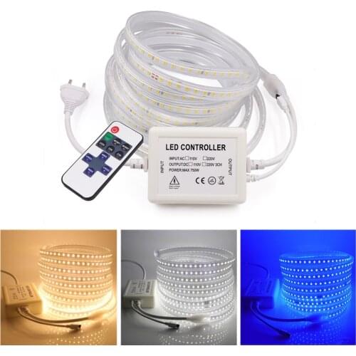 Dimmable LED Strip 110V 220V SMD2835 11key Remote Control Flexible Lights High Brightness Waterproof Rope Tape Lamp