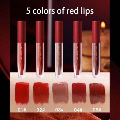 Velvet Matte Lip Glaze Air Lip Gloss Red Brown Long-lasting Waterproof Lipstick Lip Beauty Makeup Maquillaje TSLM1
